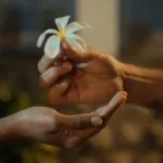 Frangipani: The Short Film (2026)