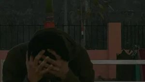Apology (2026)